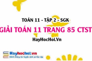 Giải Toán 11 trang 85 tập 2 Chân trời sáng tạo